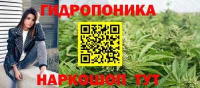 мдпв Рязань