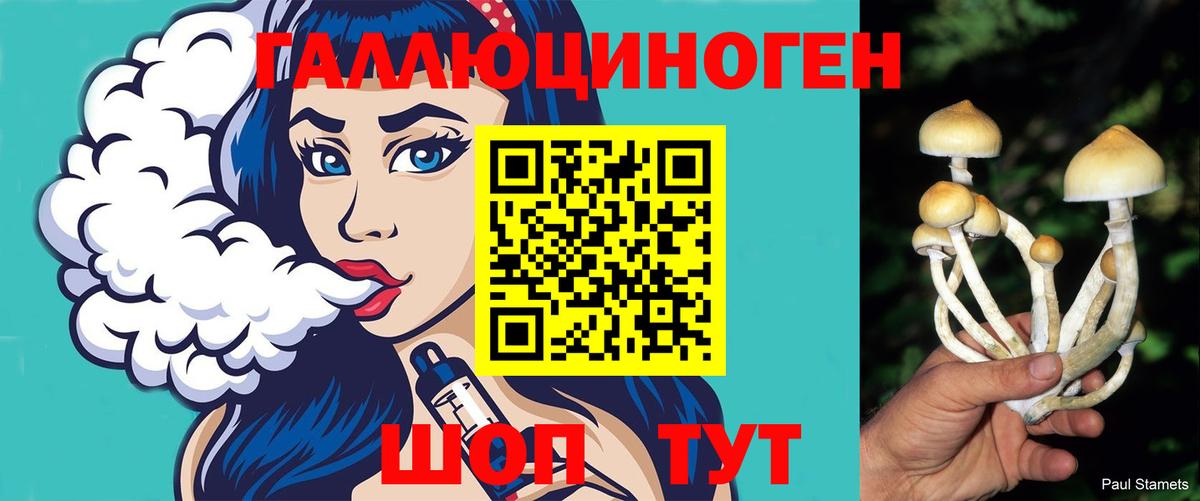 Родники  Псилоцибиновые грибы Cubensis  Вход с VPN  Галлюциногенные грибы мухоморы 